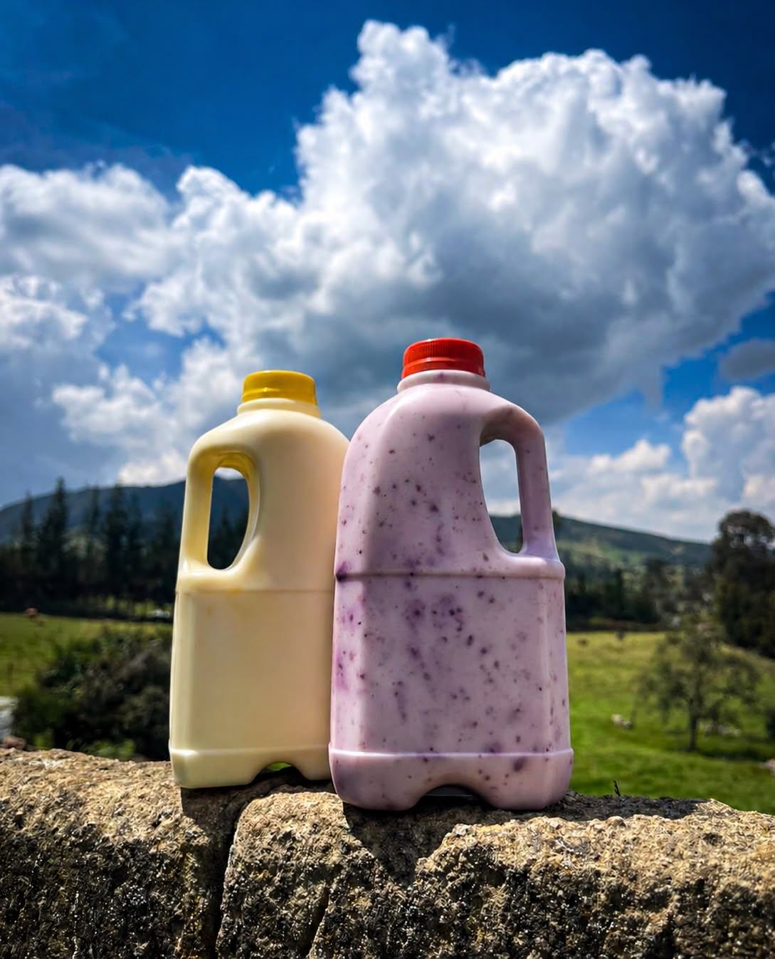 Botellas de leche y yogurt de La Granja de Vale sobre un muro de piedra, con el paisaje de La Calera de fondo